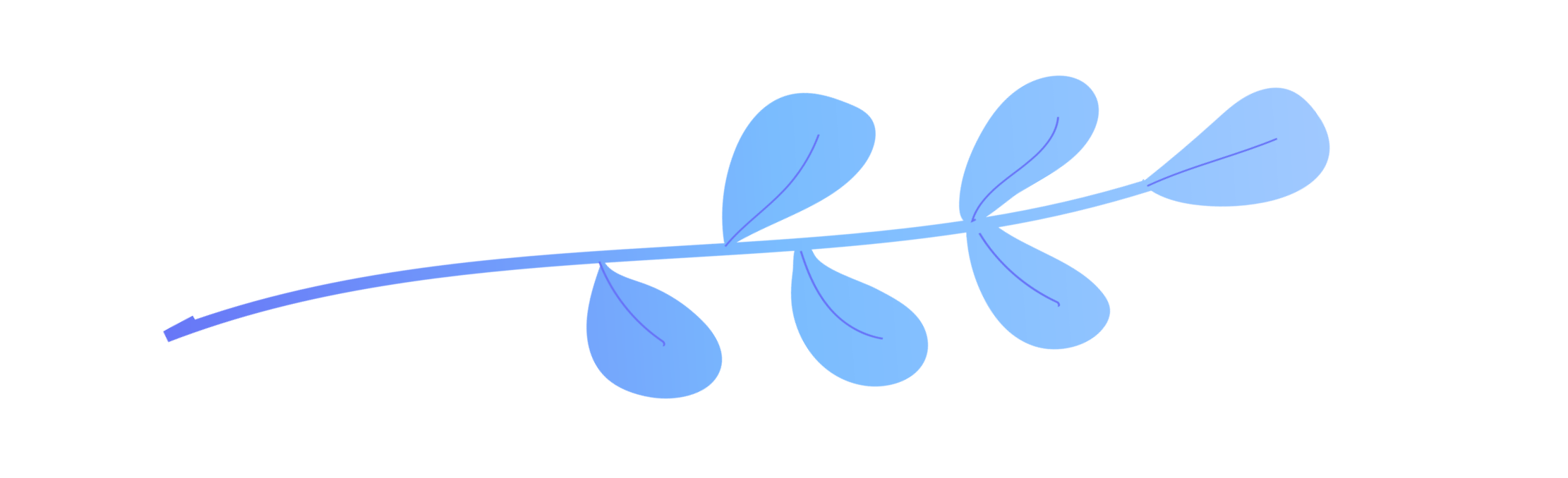 Branch